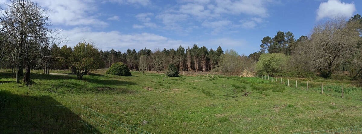 LANDES ATLANTIQUE - Vaste maison & jardin paysager - Rare opportunité - photo 2