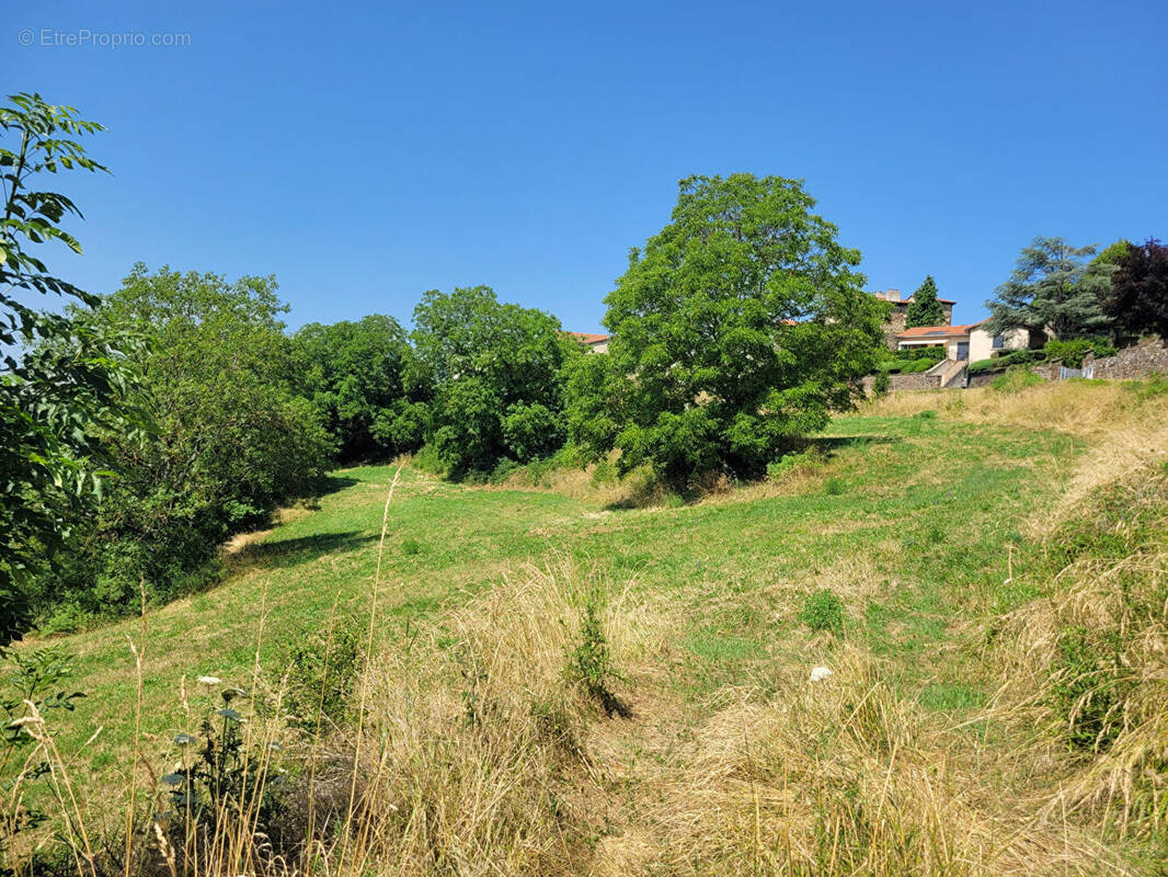 Terrain à POLIGNAC