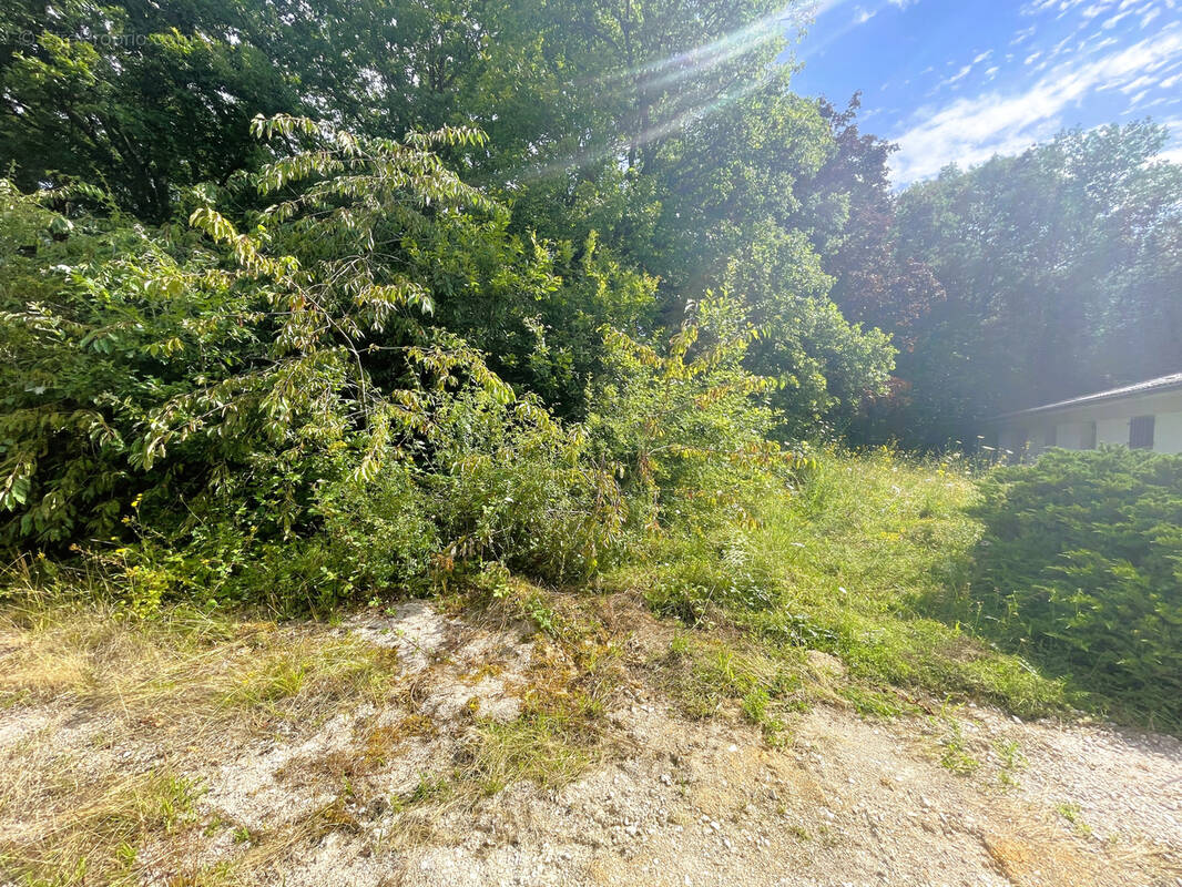 Terrain à NOGENT-LE-PHAYE