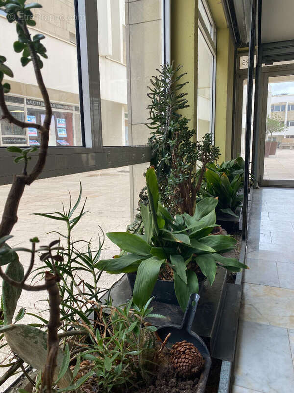 Commerce à MONTPELLIER