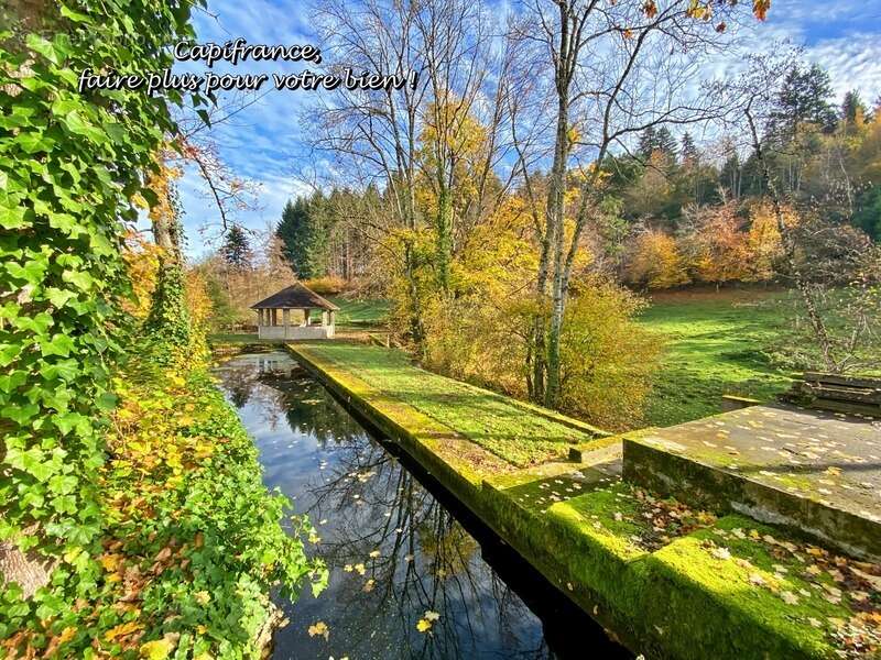 Maison à BELMONT-DE-LA-LOIRE