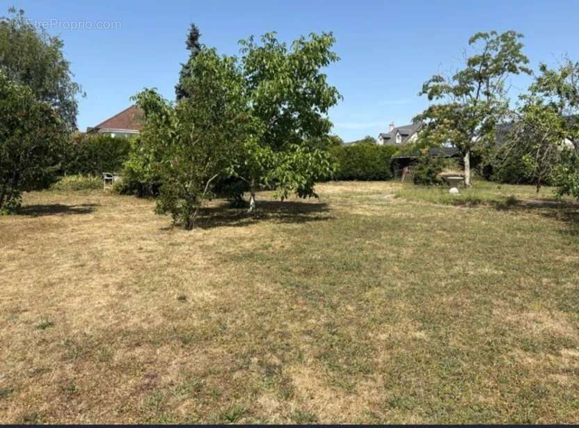 Terrain à PARCAY-MESLAY