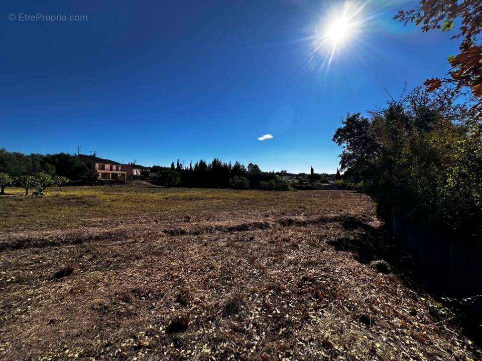 Terrain à PUGET-SUR-ARGENS