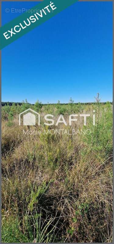Photo 5 - Terrain à SANGUINET