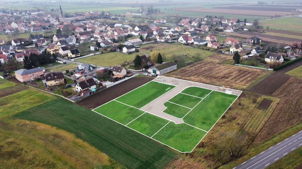 Terrain à NIEDERHERGHEIM
