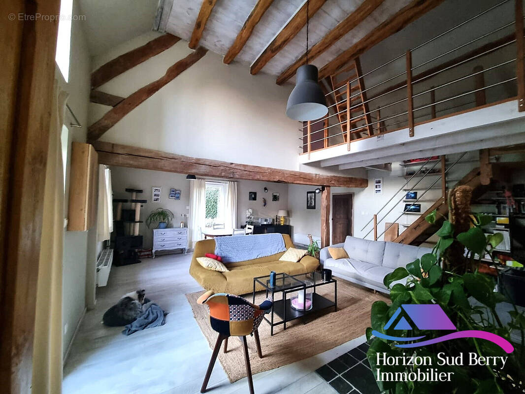 Salon - Maison à THEVET-SAINT-JULIEN