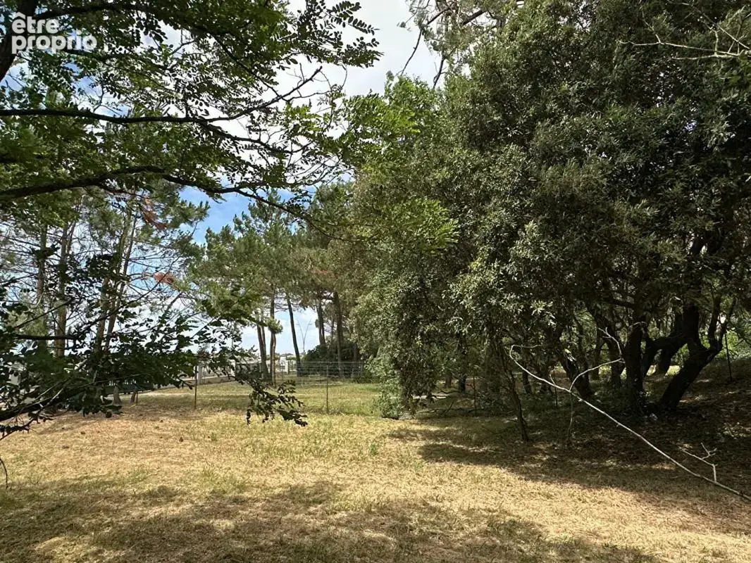 Front de Mer Maison Saint Georges De Didonne sur 2000 m2 - photo 4