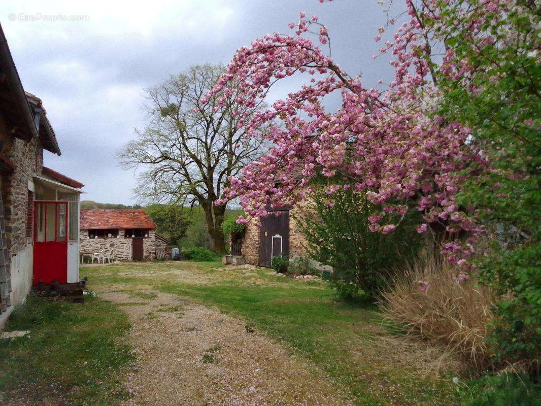 Corps de ferme de 228 m2 - photo 4