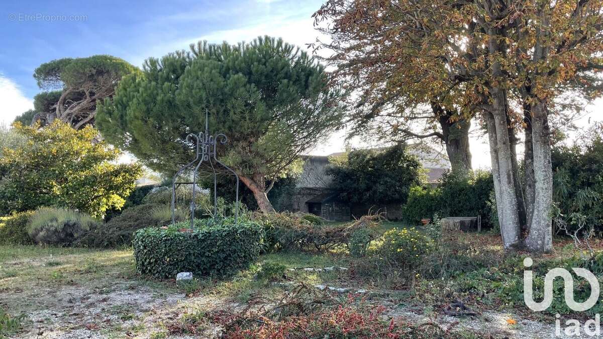 Photo 4 - Maison à LE BOIS-PLAGE-EN-RE