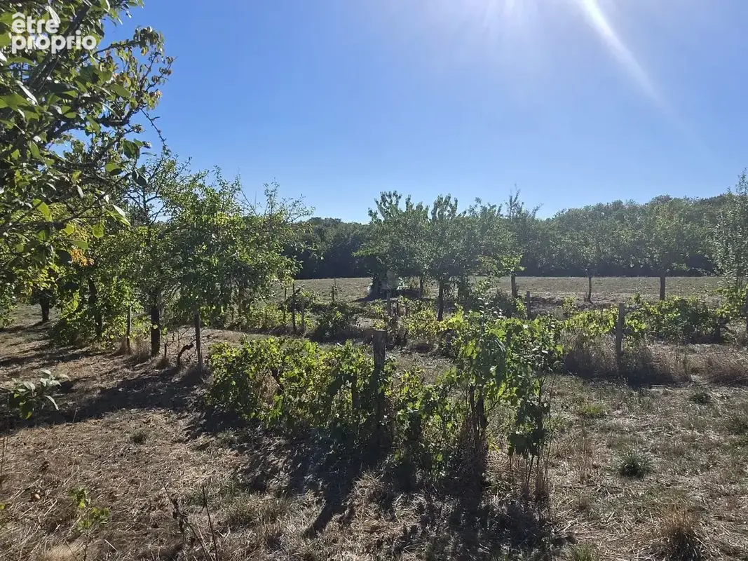 Maison périgourdine avec dépendance sur 5 ha de prairies! - photo 22