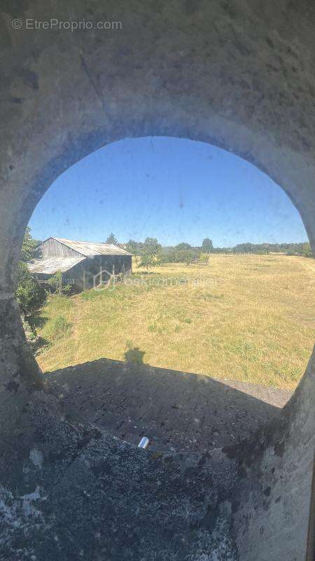 2 hectares + maison rénovée 102m² + dépendances  - indre 36 - photo 21