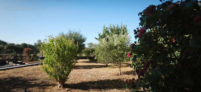 Maison à AIFFRES (79) - photo 5
