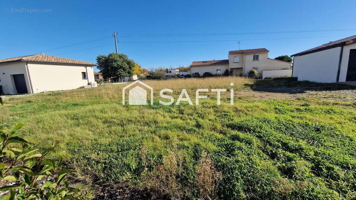 Photo 3 - Terrain à MURET