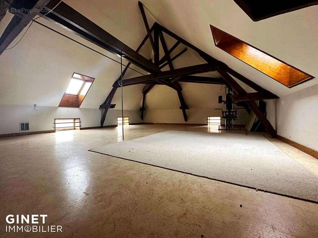 Maison Briennon 7 pièce(s) 216.6 m2 - photo 5