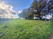 Terrain à UEBERSTRASS