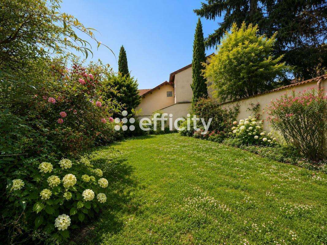 Maison 164 m² à Lyon-3e  - photo 15