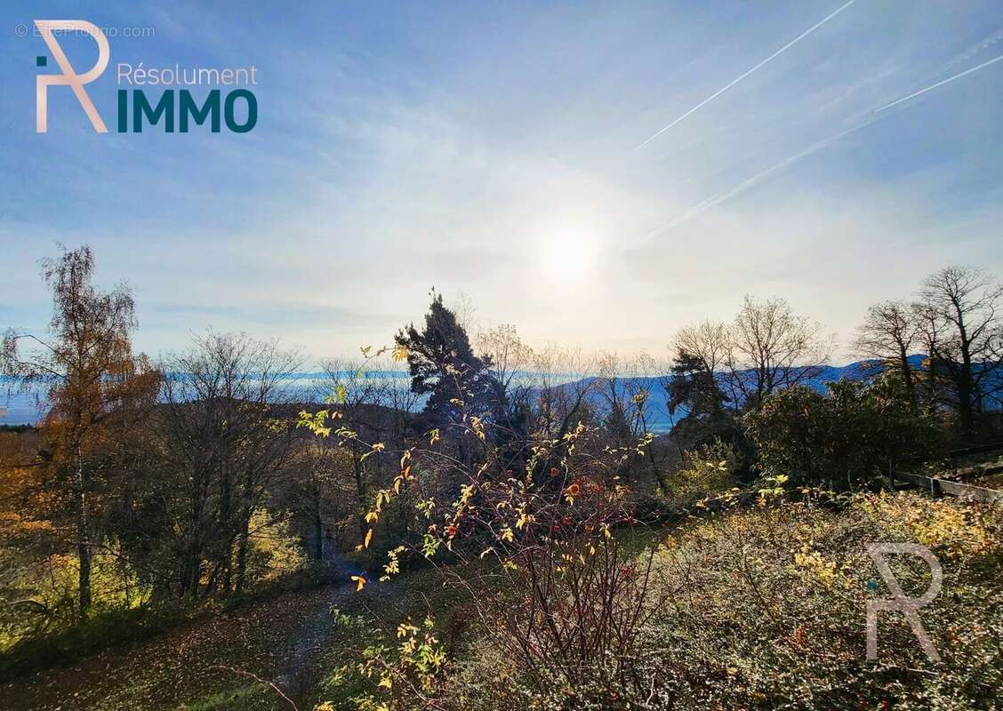 Appartement à RIEDISHEIM