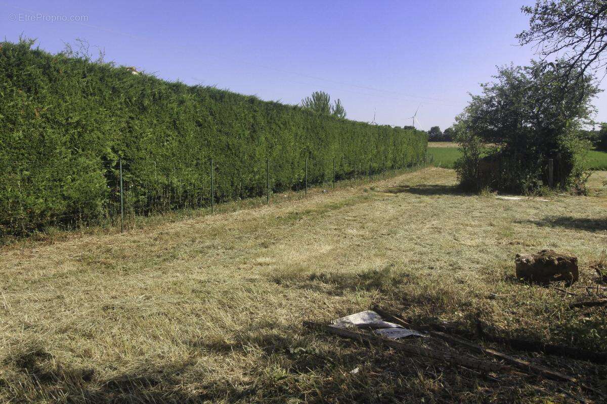 Terrain à NACHAMPS