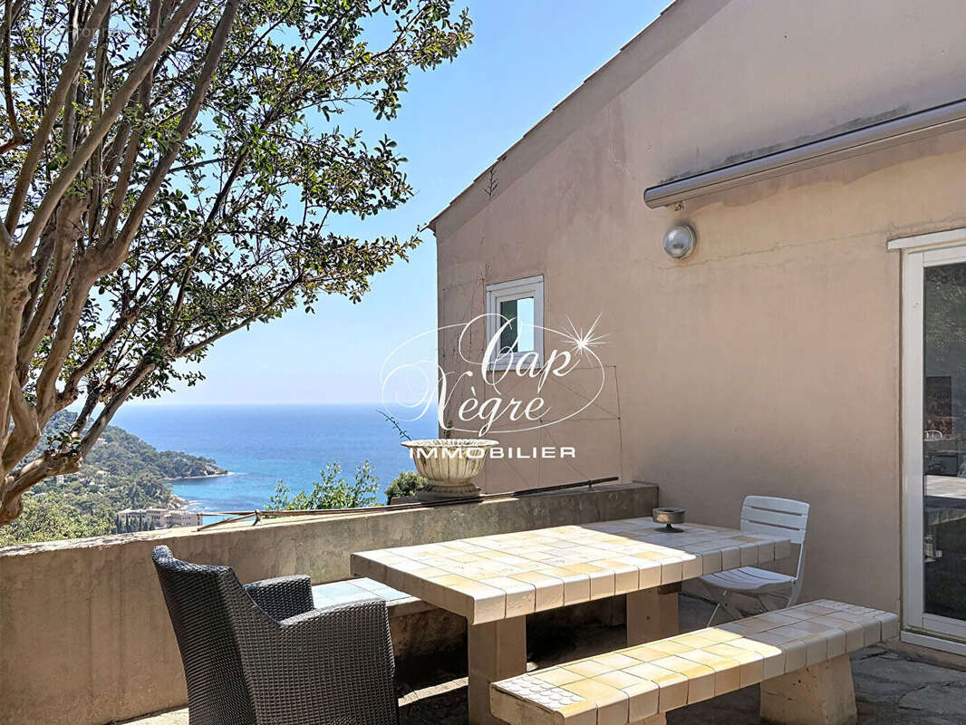 Propriété piscine vue mer au Rayol-Canadel - photo 5