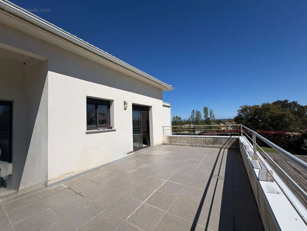 Biguglia Appartement F2 avec terrasse de 31 m2 - photo 2