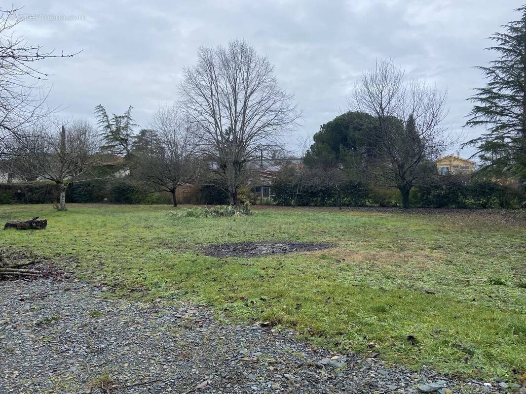 Terrain à GAILLAC