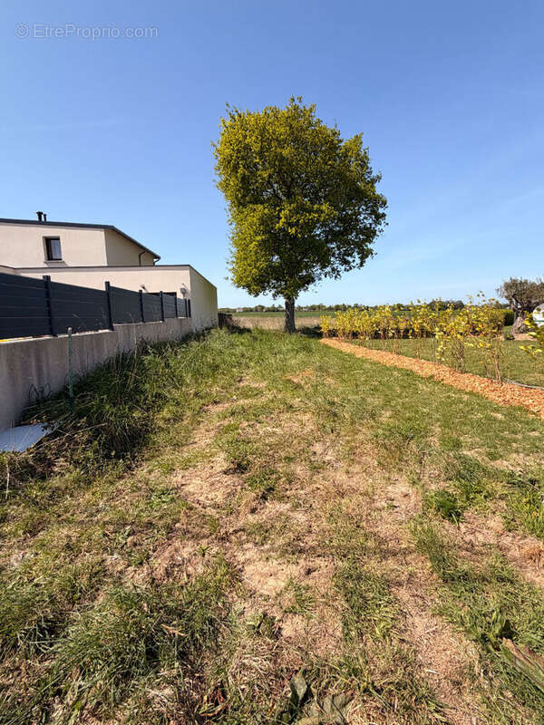 Terrain saint-alban - photo 3
