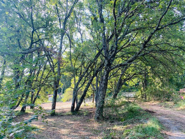 Terrain à UZES