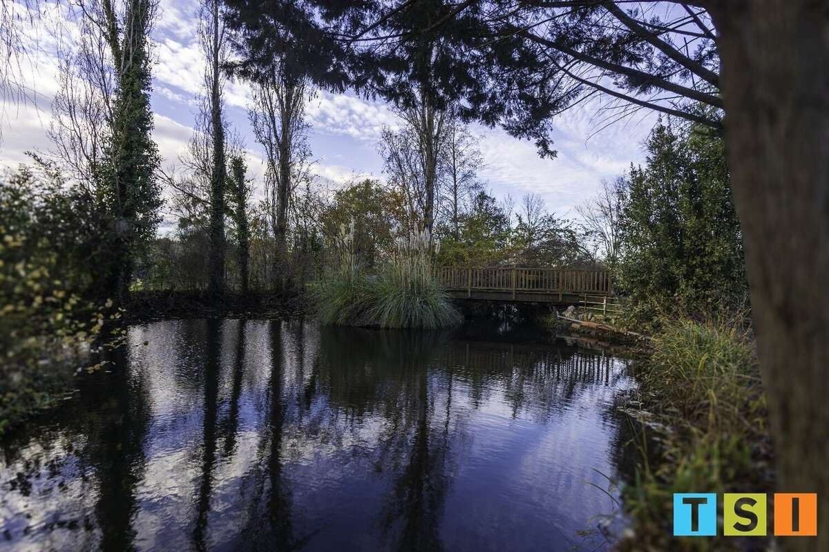 Maison à MONTESQUIEU-VOLVESTRE