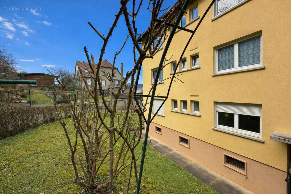 Appartement à WINTZENHEIM