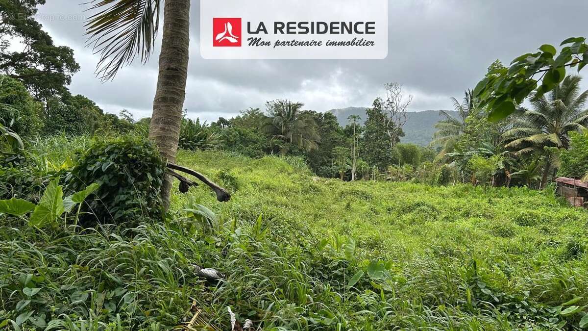 Terrain 707 m² à Le Morne-Rouge  - photo 5