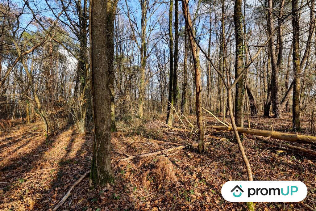 Terrain à CHATILLON-SUR-CHER