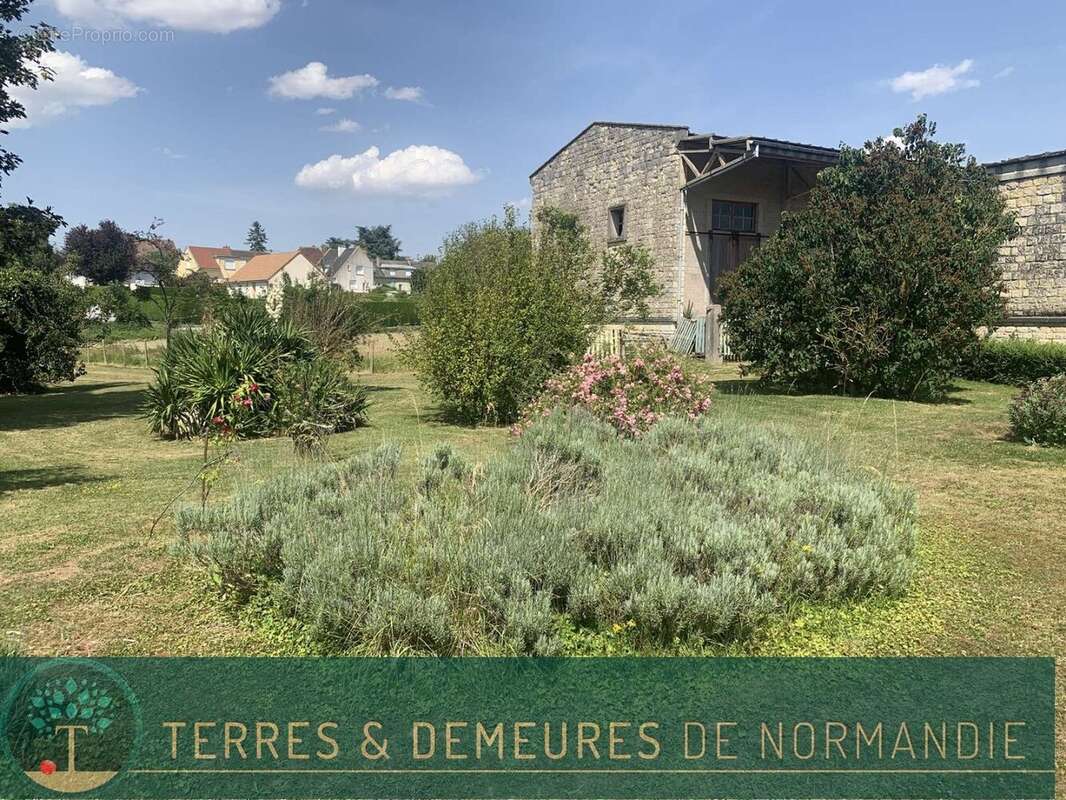 Dans le CALVADOS, région FALAISE, propriété agricole de 34 ha en herbage d'un seul tenant - photo 20