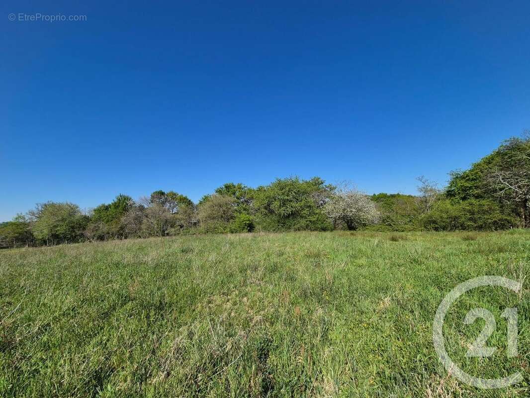 Terrain à SAINT-MEDARD