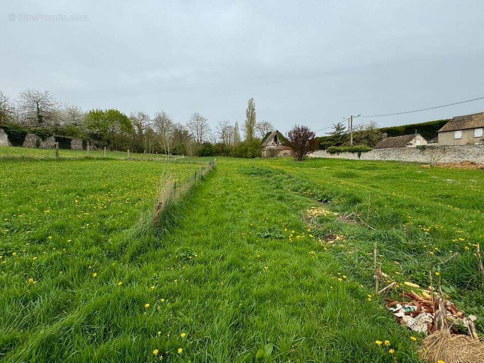 Terrain à SAINT-LUBIN-DE-LA-HAYE