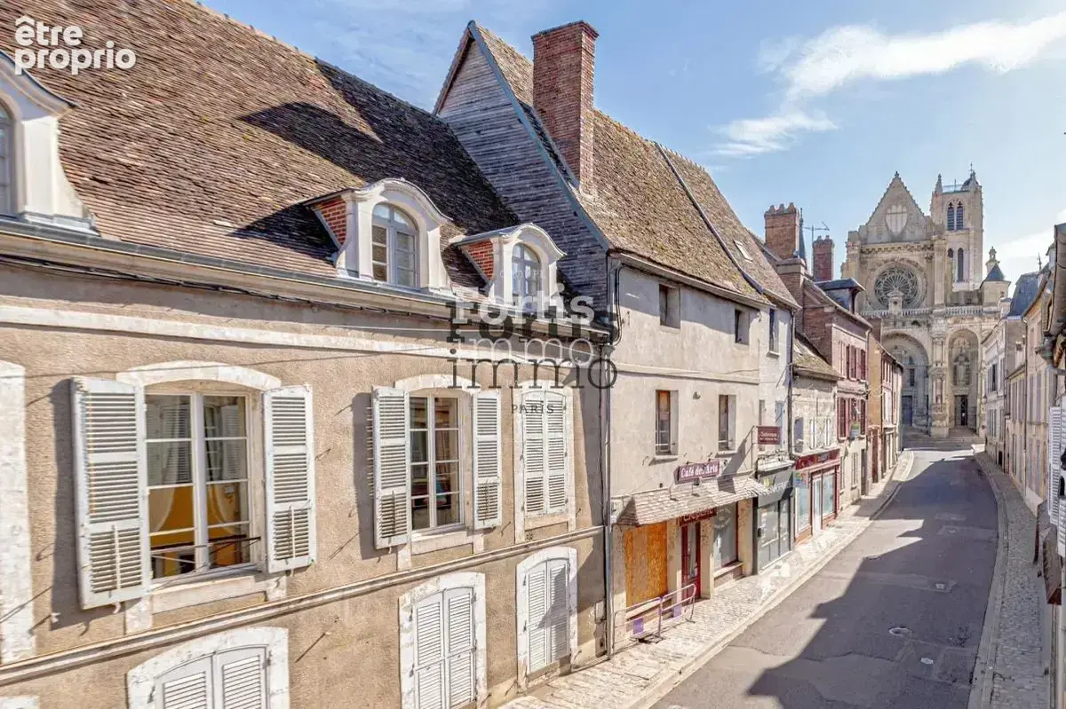 Villeneuve/yonne-demeure de1880-522m²-8 ch-jardin-dépendance - photo 44