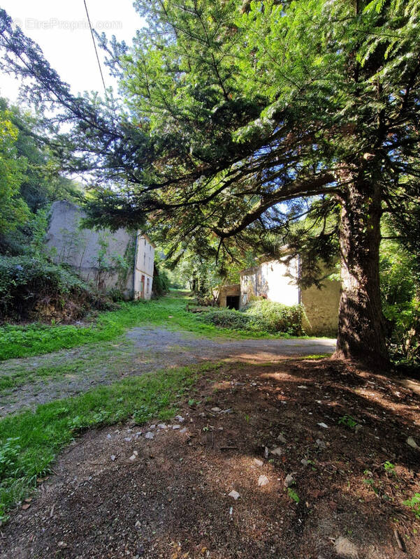 Maison à DOURGNE