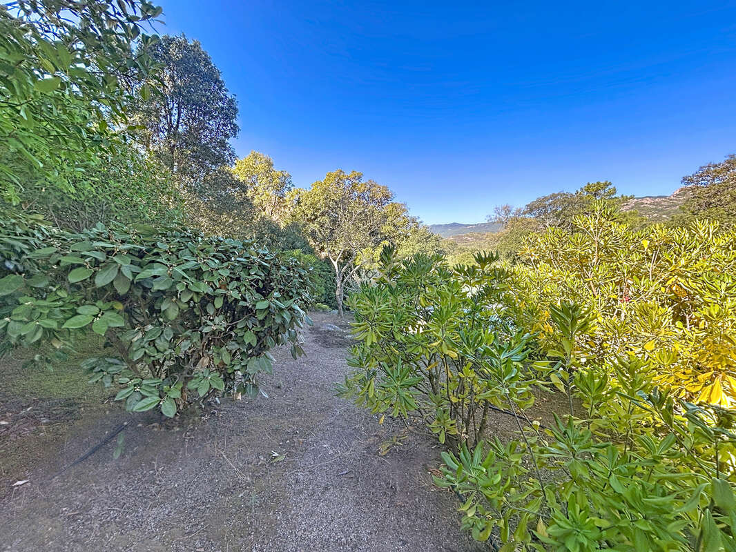 Maison à PORTO-VECCHIO