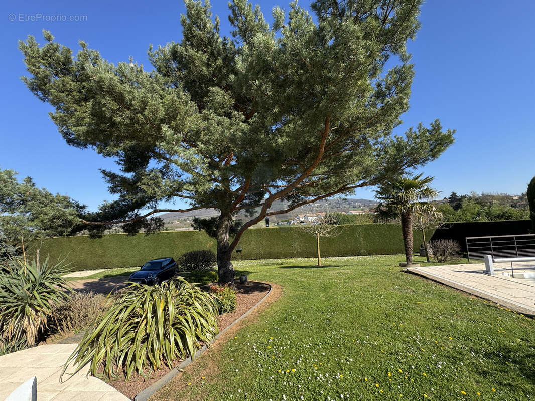 Maison à LIMONEST