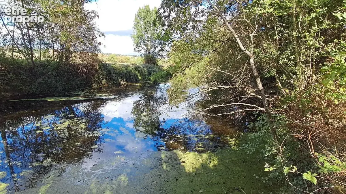 Mon terrain de loisirs, les pieds dans l'eau - photo 5