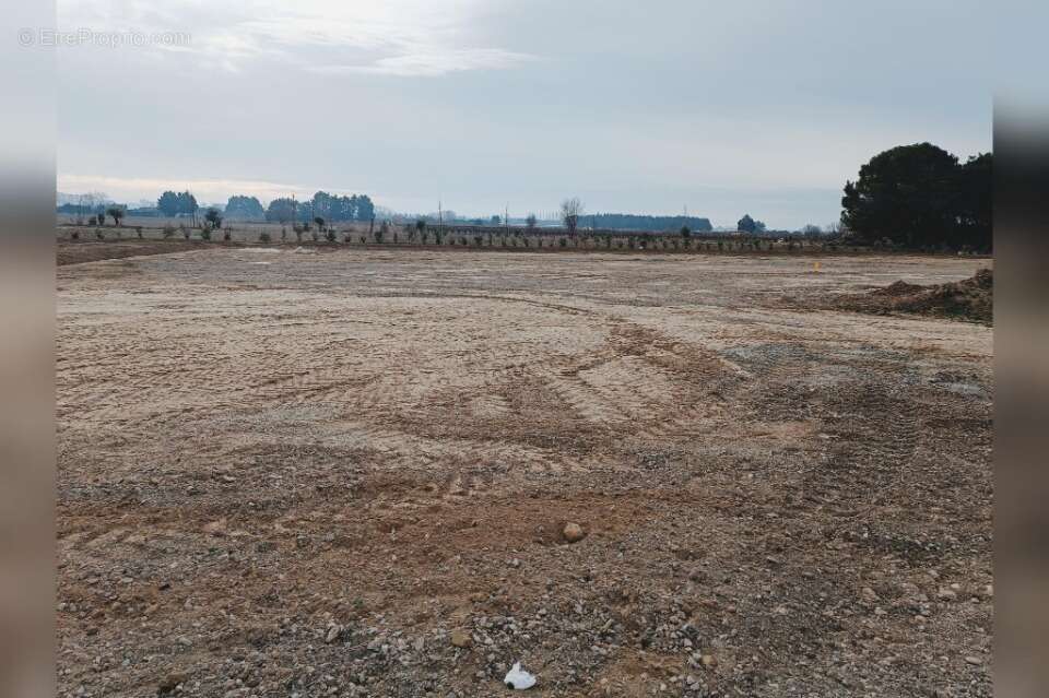 Terrain à MARSILLARGUES