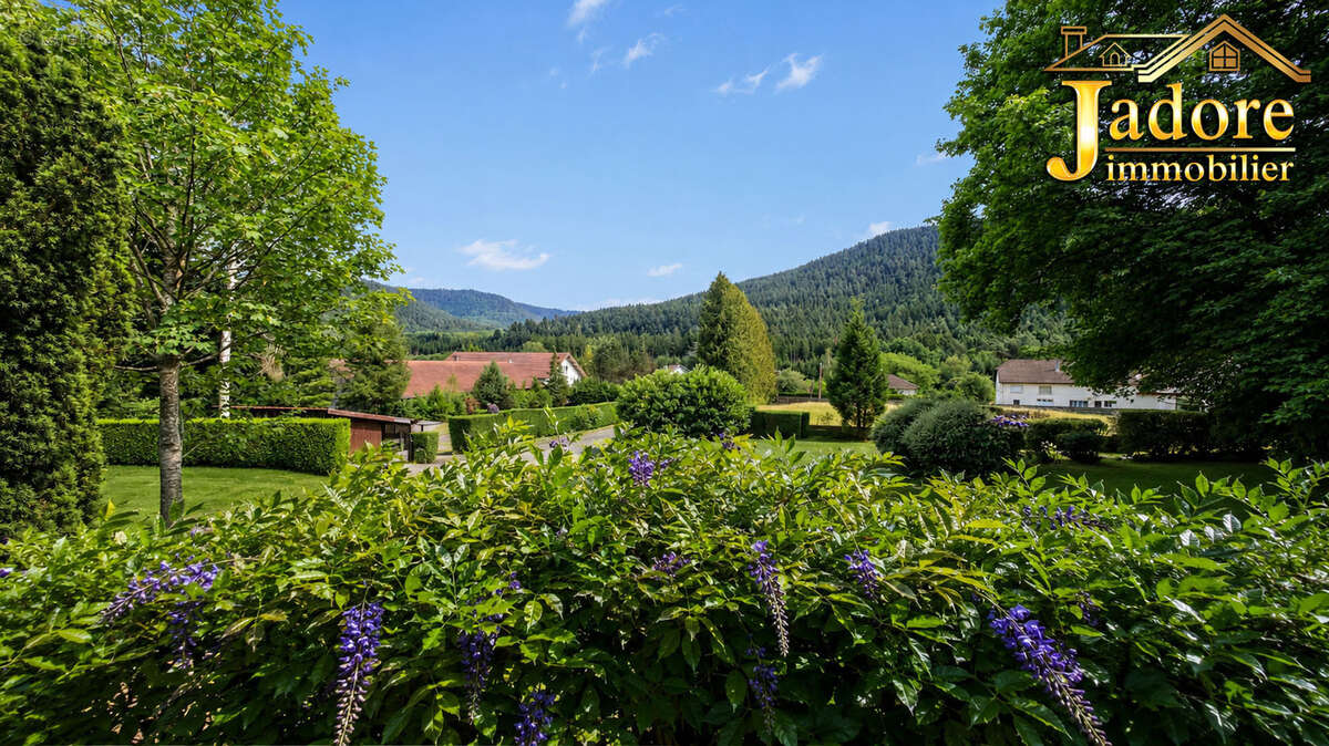 Exclusivite ! grande propriete sur 6683 m2 de terrain - photo 3