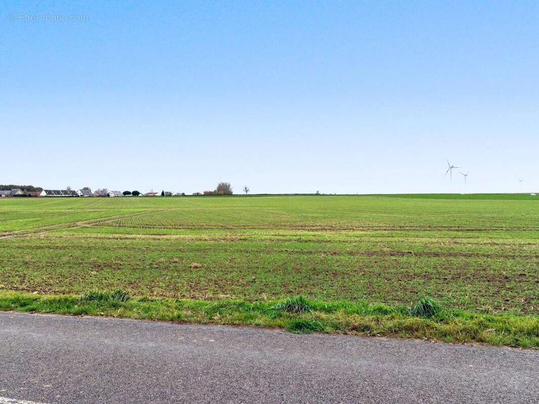 Photo 2 - Terrain à HEURINGHEM