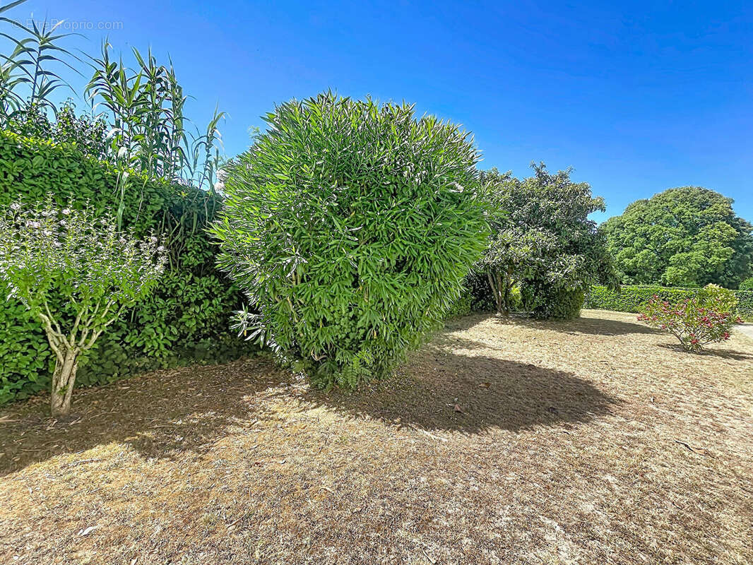 Appartement 78m² à manosque - photo 13