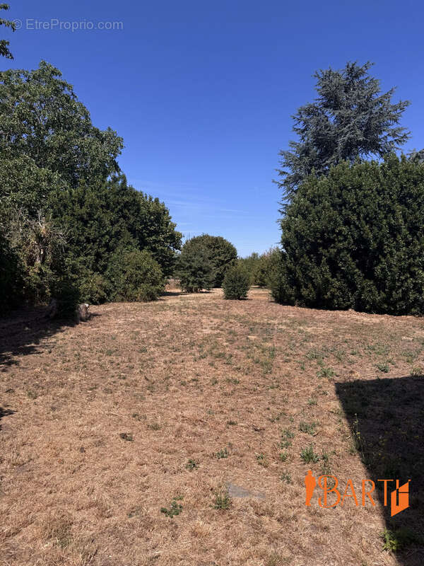 Maison 178 m² à Saint-Florent-Sur-Cher  - photo 9