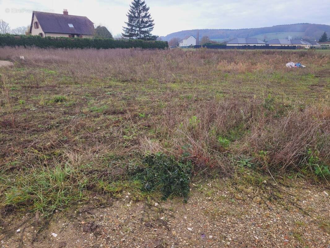 Terrain à HONDOUVILLE