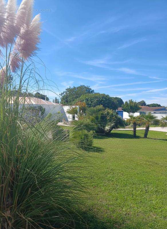 Maison à SAINT-JUST-LUZAC