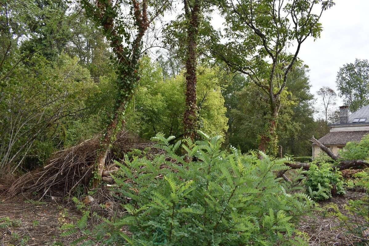 Maison à MOULIN-NEUF