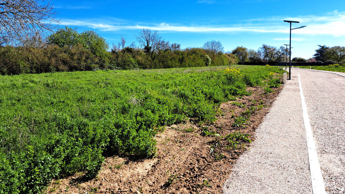 Terrain à MALAY-LE-PETIT