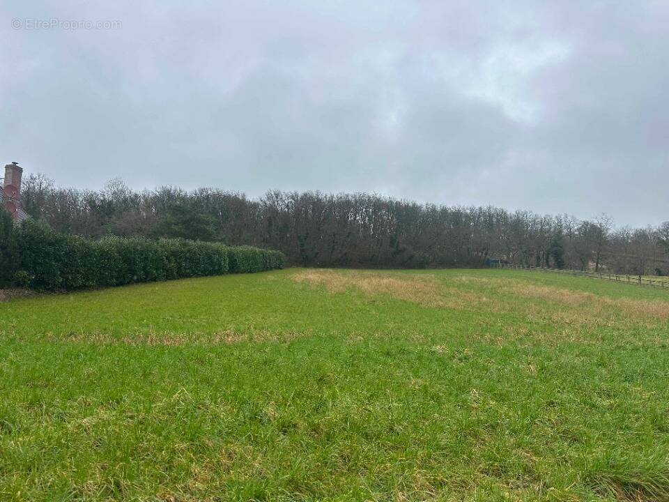 Terrain à BOISSY-SOUS-SAINT-YON