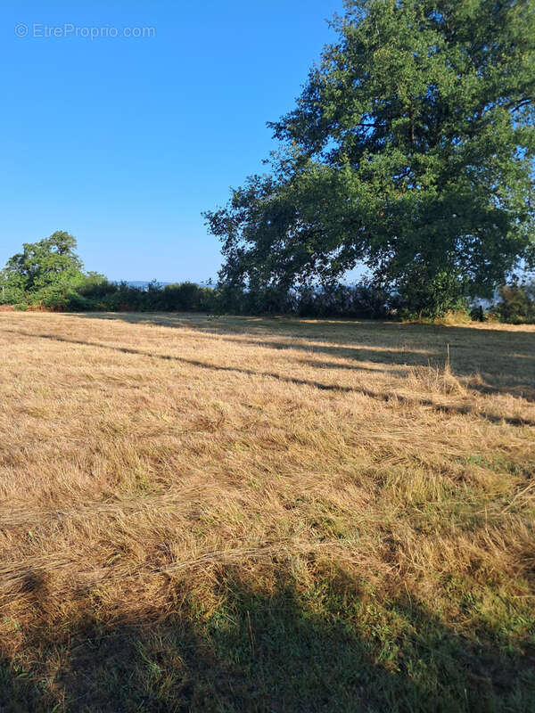 Terrain à MONTGIBAUD